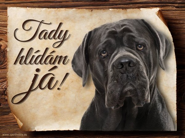 Cedulka Cane Corso  - Tady hlídám já