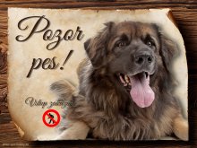 Cedulka Leonberger II - Pozor pes zákaz