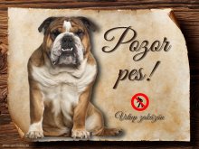 Cedulka Anglický buldog - Pozor pes zákaz