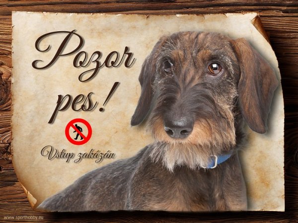 Cedulka Jezevčík - Pozor pes zákaz
