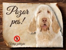 Cedulka Italský spinone - Pozor pes zákaz