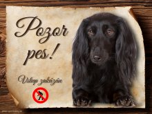 Cedulka Jezevčík černý dlouhosrstý - Pozor pes zákaz